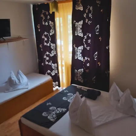 Premium Travel Busteni